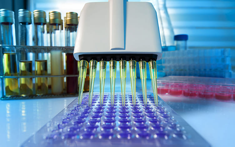 A Comprehensive Guide to Tissue Homogenization Quality Control in DMPK Studies: From Method Selection to Data Reliability
