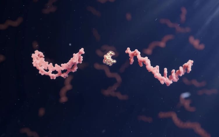 Exploring Oligonucleotide Therapeutics: An Overview of Pharmacokinetic Strategies