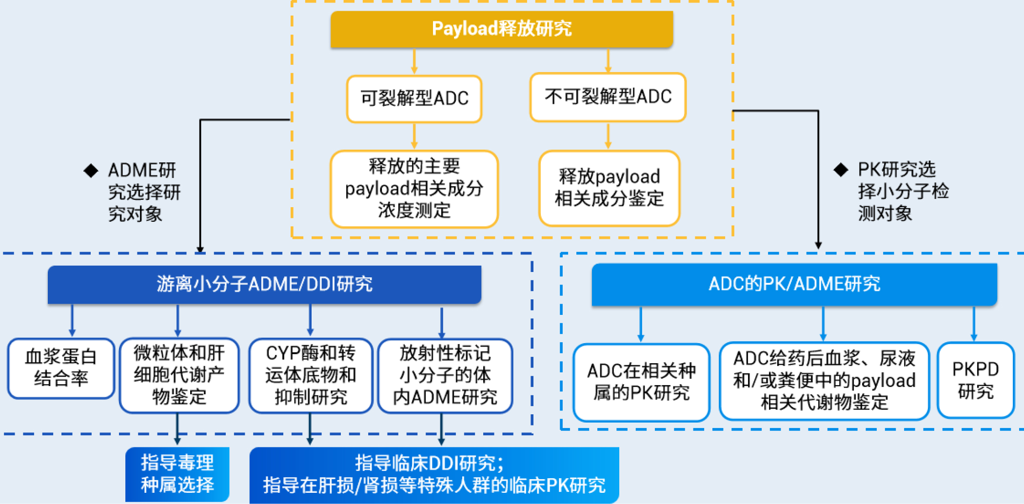 释放研究.jpg