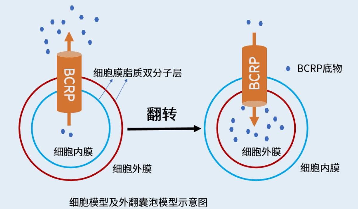H02_图1.jpg