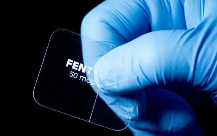 透皮给药制剂研究概况及其体内PK研究方法