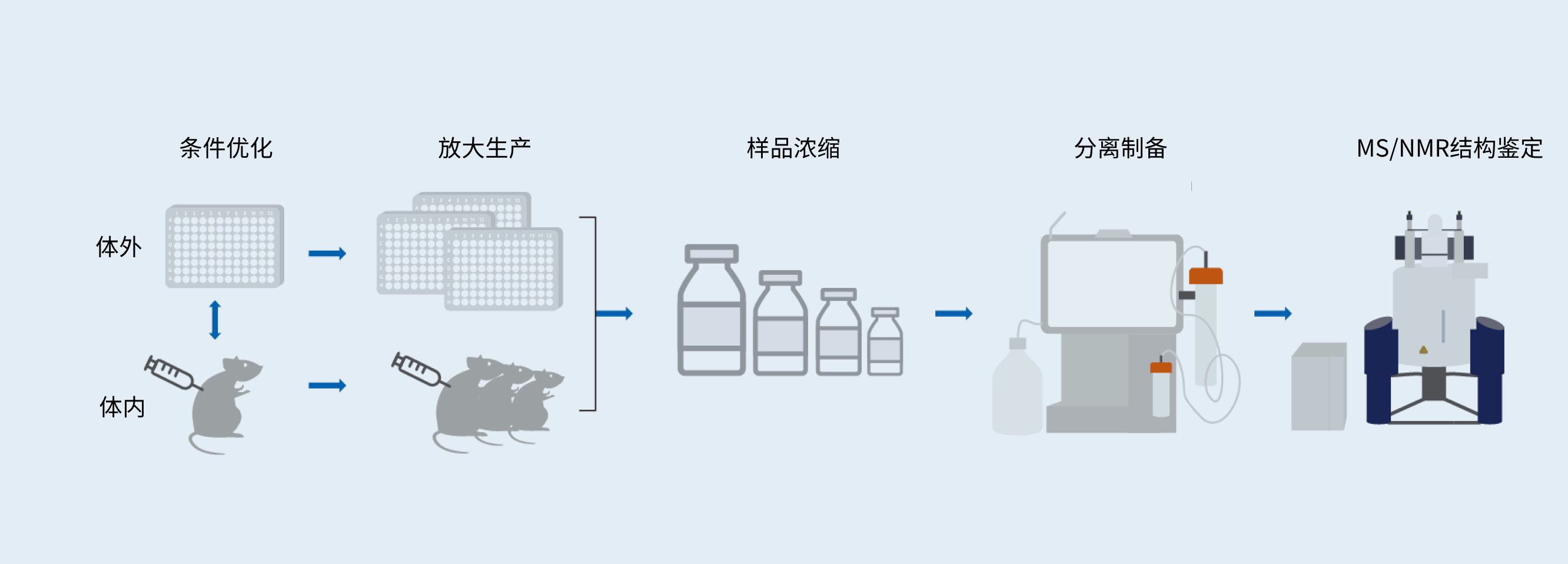 代谢产物合成.jpg