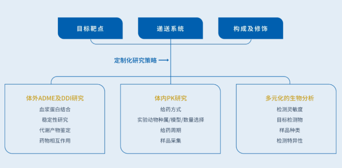 oligo策略图.jpg