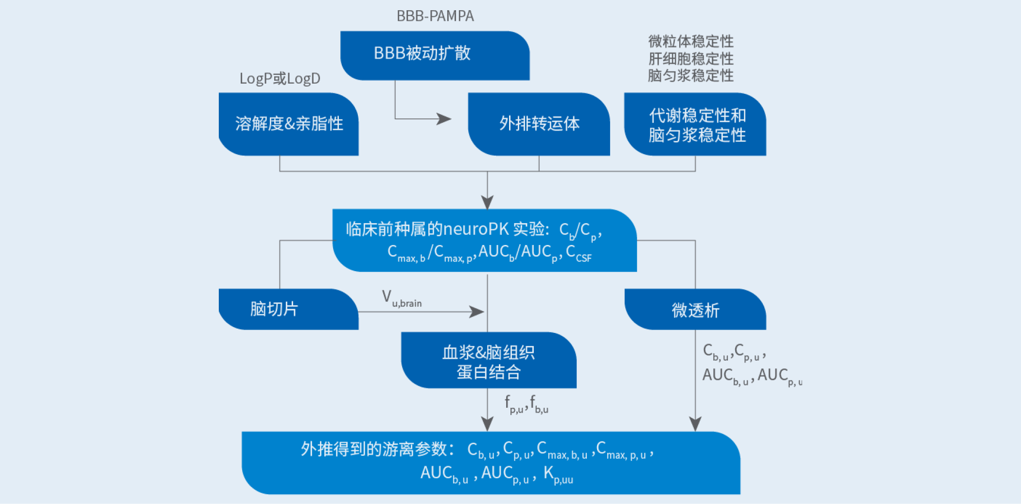 cns策略图(1).jpg